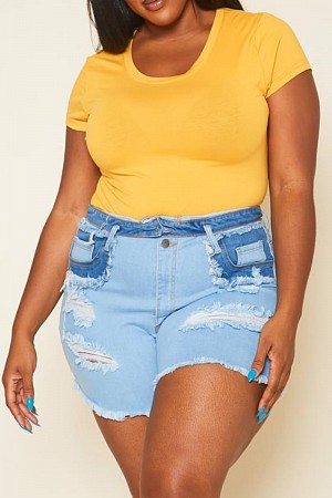 Plus Size High Rise Distressed ...